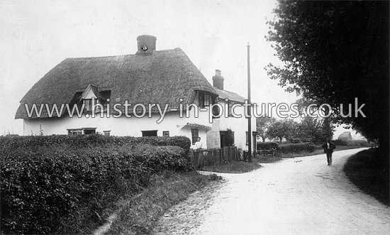 The Oldest Cottage in High Easter, Built during King Henry VIII's Reign, High Easter, Essex. c.1919